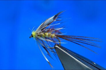 Tying a Claret French Partridge Mayfly by Davie McPhail