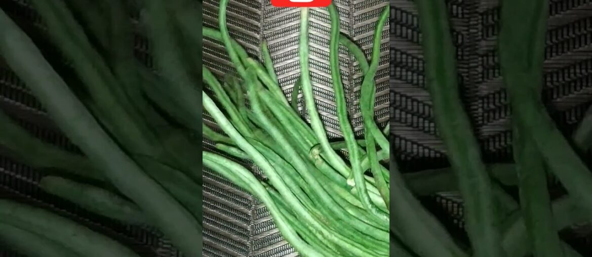 Instant Healthy Special French Beans Recipe #youtubeshorts #shorts #shortvideo