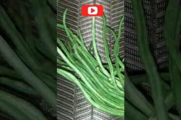 Instant Healthy Special French Beans Recipe #youtubeshorts #shorts #shortvideo