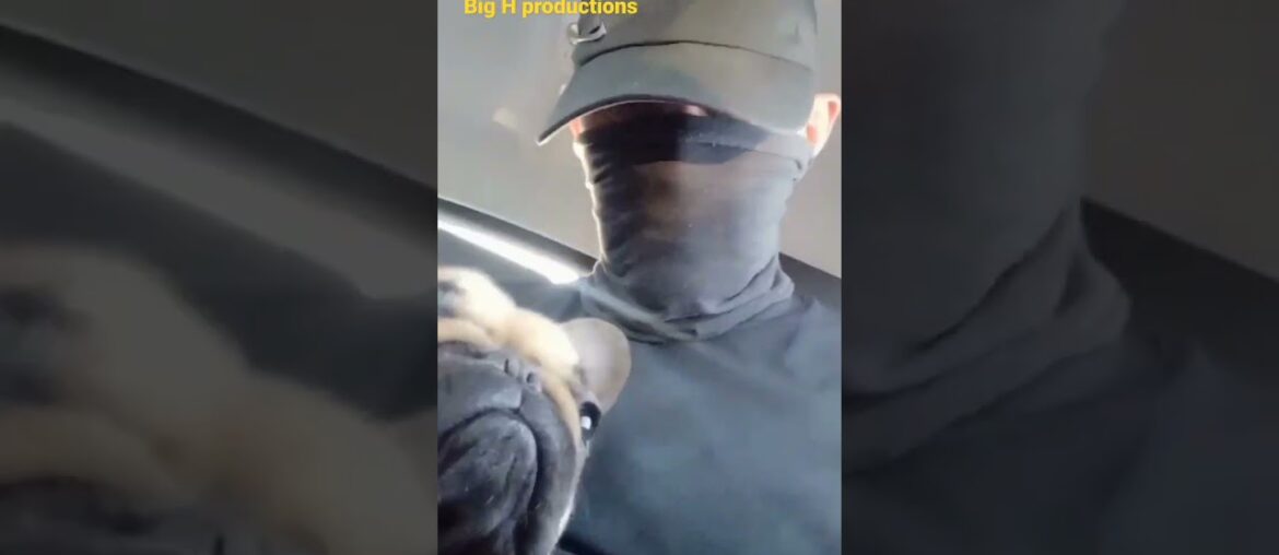 my French bulldog wants French food (croissant)