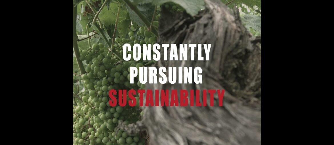 Barton & Guestier B&G Bordeaux Blanc / French white wine / BG