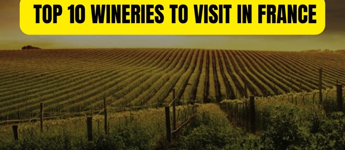 Top 10 Wineries to Visit in France Top 10 Wineries to Visit in France