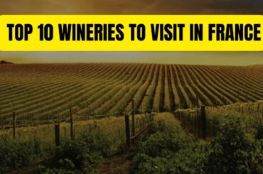 Top 10 Wineries to Visit in France