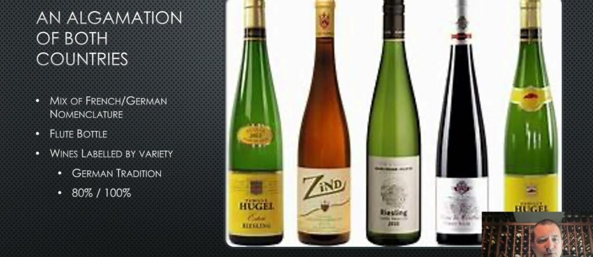 Alsace Wine Education from The Wine Doctor Alsace Wine Education from The Wine Doctor