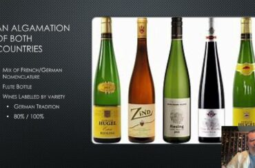 Alsace Wine Education from The Wine Doctor