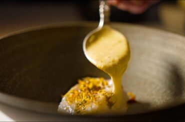 $370 Gourmet Dinner in Denmark - 8 Courses + 8 Wine Pairings