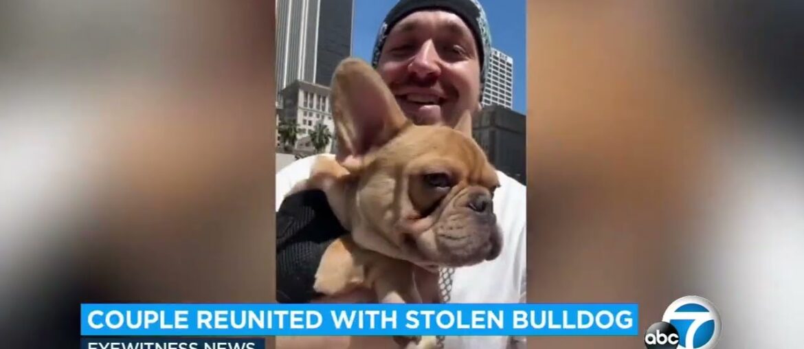 French bulldog stolen by food delivery driver reunited with its owners after 4 days