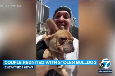French bulldog stolen by food delivery driver reunited with its owners after 4 days