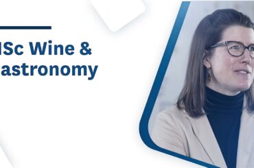 MSc Wine & Gastronomy - NEOMA Business School