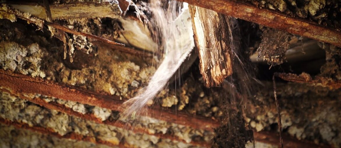 Too dangerous to continue, the floor collapses