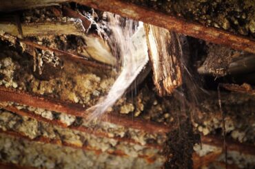 Too dangerous to continue, the floor collapses