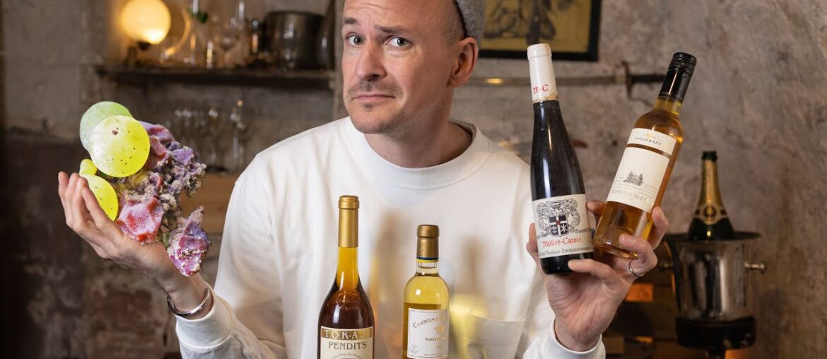 ROTTEN SWEET Wine - Tasting BOTRYTIS WINES