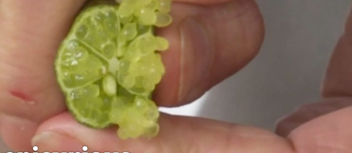 Finger Limes: Little Pearls Of Citrus Goodness