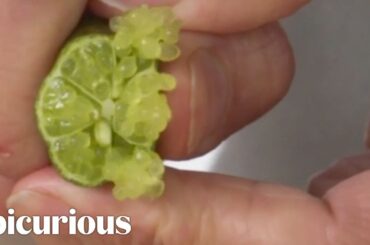 Finger Limes: Little Pearls Of Citrus Goodness