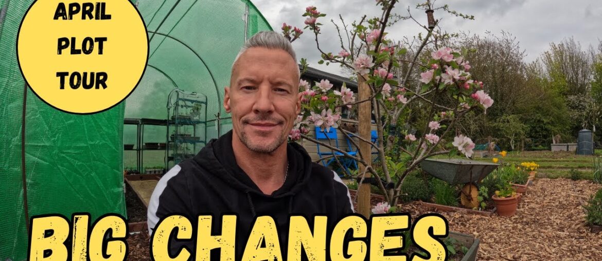 April Plot Tour - Polytunnel tour - Allotment update - Lots of changes