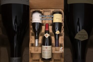 Wines from Burgundy (Pinot Noir and Chardonnay)