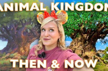 What's Left Of Animal Kingdom?! | 25 Years of Disney World History | Original Rides, Shows, & Snacks