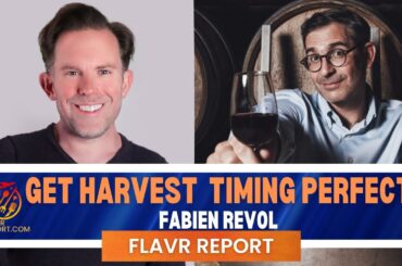 France's Wine Harvest -   Domaine de Brau explains the Annual Challenges and Their Methods