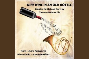 Sonata for Natural Horn and Cello in D Major, Op. 22, TWV 74 - Recitative and Aria