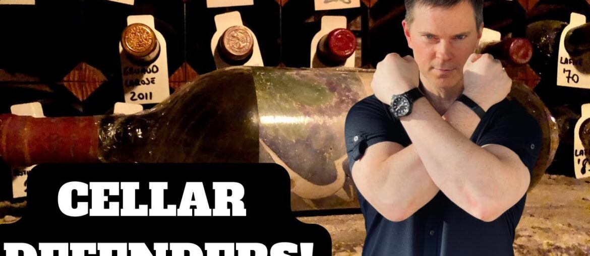 7 Wine CELLAR DEFENDERS I'm Buying Now (Wine Collecting) (2023) 7 Wine CELLAR DEFENDERS I'm Buying Now (Wine Collecting) (2023)