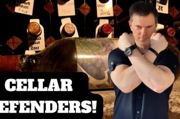 7 Wine CELLAR DEFENDERS I'm Buying Now (Wine Collecting) (2023)