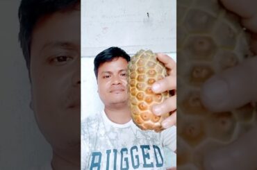 disney food disney world #youtubeshorts #virl #trending #food#raisingohana