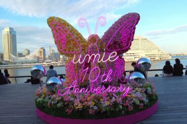 KOBE OKROBER FEST 2023 || KOBE FRENCH WINE FESTIVAL ||   #kobeoktoberfest #kobefrenchwinefestival