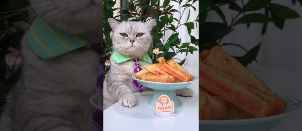 Kitty making delicious french fries with ketchup recipe II #shorts II #short II #recipe II #cat