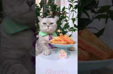 Kitty making delicious french fries with ketchup recipe II #shorts II #short II #recipe II #cat