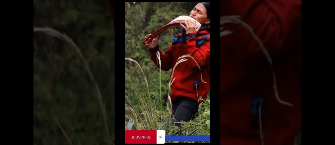 Tui Tui Motu City ( funny fruits)#viralvideo #manuelturizo #travel #shortvideos