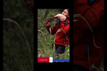 Tui Tui Motu City ( funny fruits)#viralvideo #manuelturizo #travel #shortvideos