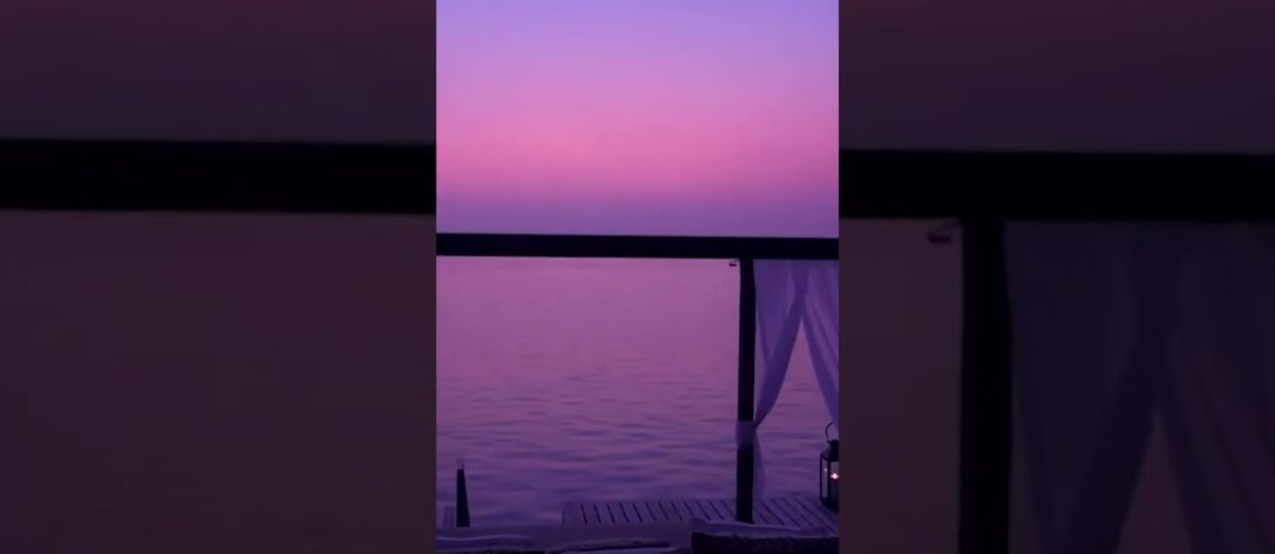 the world's best overwater bungalows @FirstClassTravel #Shorts the world's best overwater bungalows @FirstClassTravel #Shorts