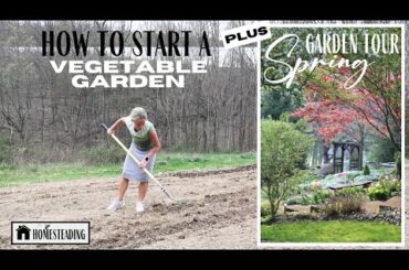 Starting a Vegetable Garden ~ Spring Garden Tour ~ Growing your own Food ~ Small Property Homestead