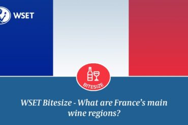 WSET Bitesize - What are France's main wine regions?