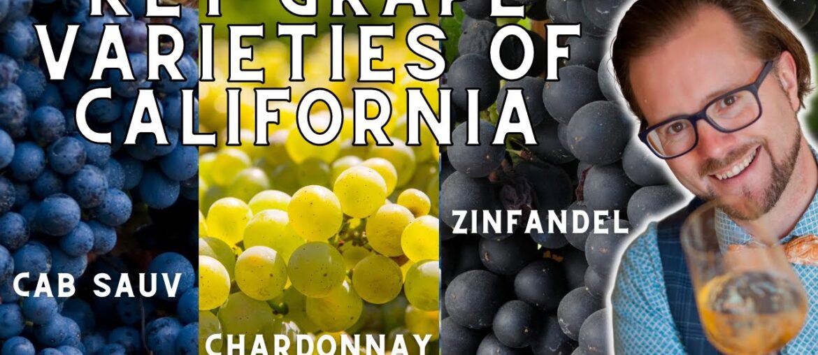 The Key Grape Varieties of California for WSET Level 4 (Diploma)