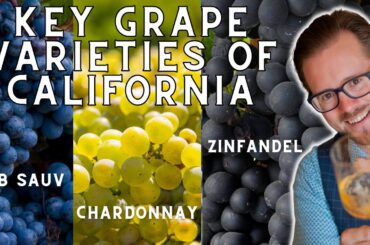 The Key Grape Varieties of California for WSET Level 4 (Diploma)