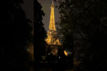 #paris #europe #eiffeltower #travel #eiffeltoweratnight #eiffeltowerpainting #travelgram #loveparis