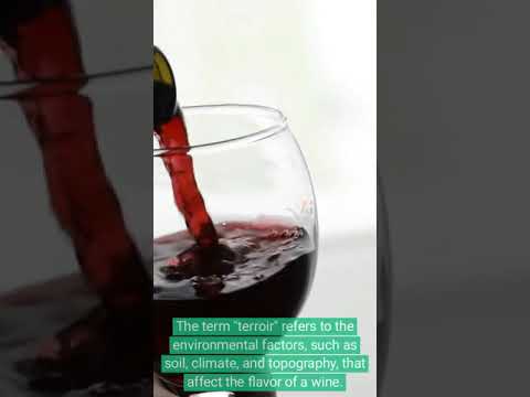 5 Facts About Wine #shorts #factshorts 5 Facts About Wine #shorts #factshorts