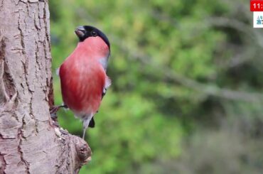Plus Haut que les Etoiles: Semaine de l'Esprit de Prophetie sur MEODH