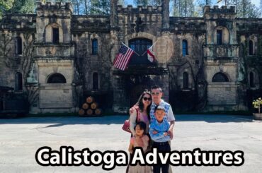 Things to do in Calistoga : Chateau Montelena and Bale Grist Water Wheel