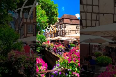 Alsace Travel Guide: Exploring the Picturesque Beauty of France's Charming Region! #shorts