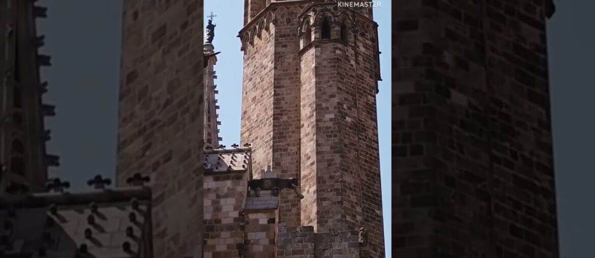 Paris Travel Vlog #paris #travel #france #tourism#paris4k #shorts #trending Paris Travel Vlog #paris #travel #france #tourism#paris4k #shorts #trending