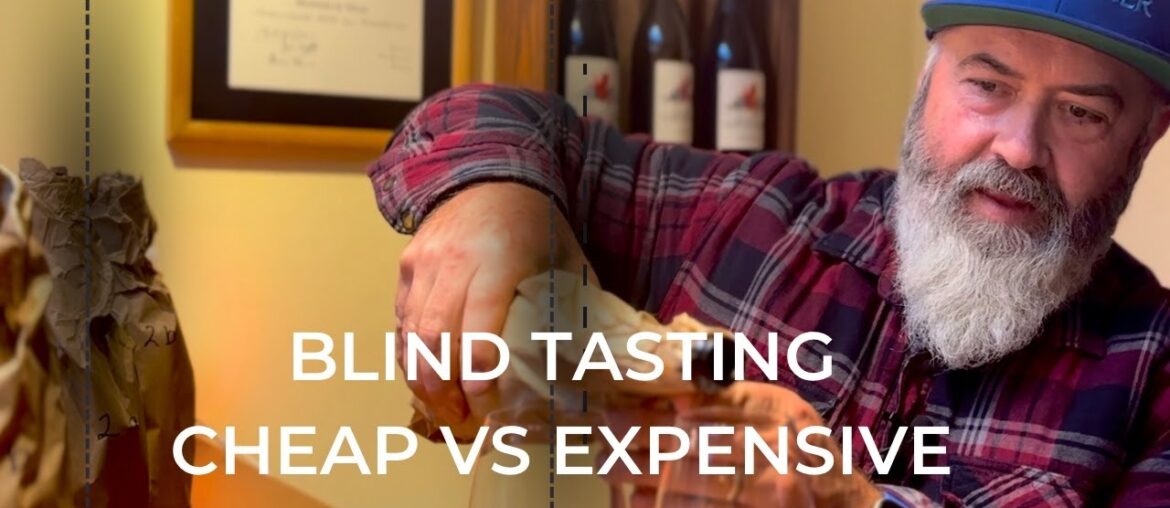 Master of Wine – Cheap vs Expensive Blind Tasting Surprise? Master of Wine - Cheap vs Expensive Blind Tasting Surprise?