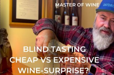 Master of Wine - Cheap vs Expensive Blind Tasting Surprise?