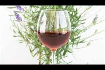 Woman survives lost in the wild on wine, OpenAI iCEO blasts remote work 5/9/23