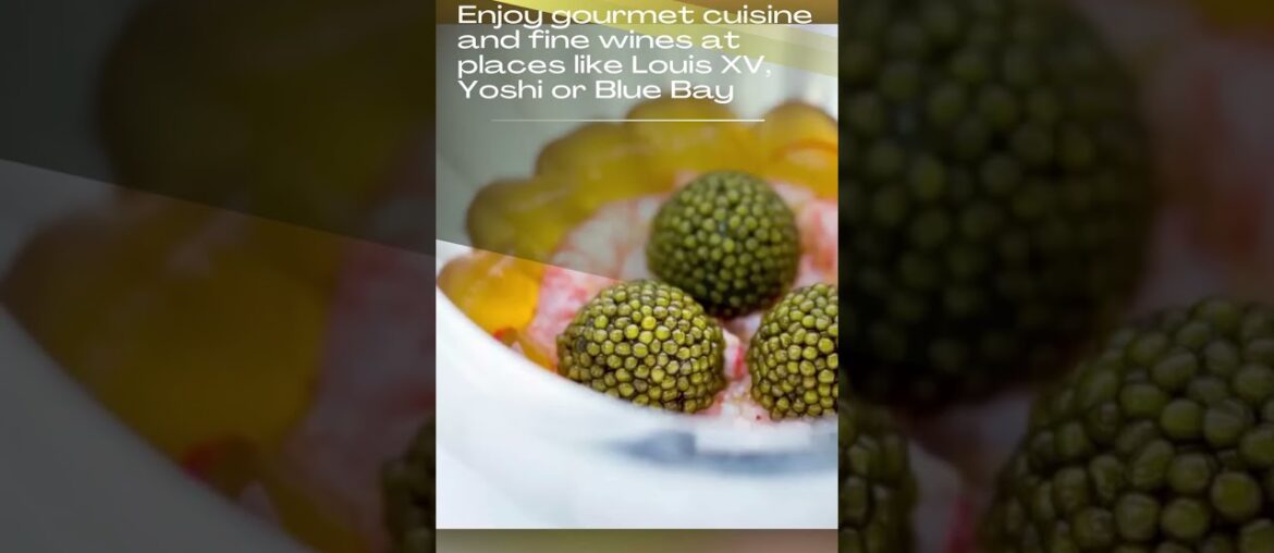 6 LUXURY Activities for F1 Fans in Monaco 6 LUXURY Activities for F1 Fans in Monaco