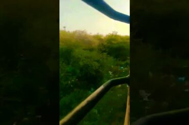 #travel #train #tranding