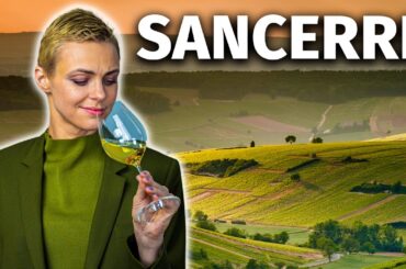 The Great French Wines: SANCERRE