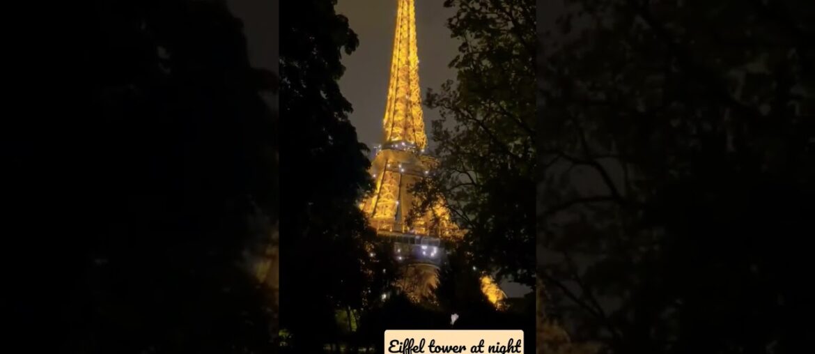 #paris #europe #eiffeltower #travel #eiffeltoweratnight #eiffeltowerpainting #travelgram #satisfying