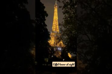 #paris #europe #eiffeltower #travel #eiffeltoweratnight #eiffeltowerpainting #travelgram #satisfying